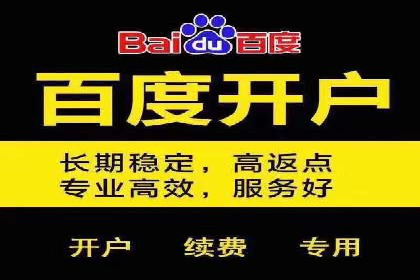 某电商平台的SEM代运营策略及效果评估